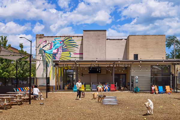 Good Dog Park & Bar photo 1